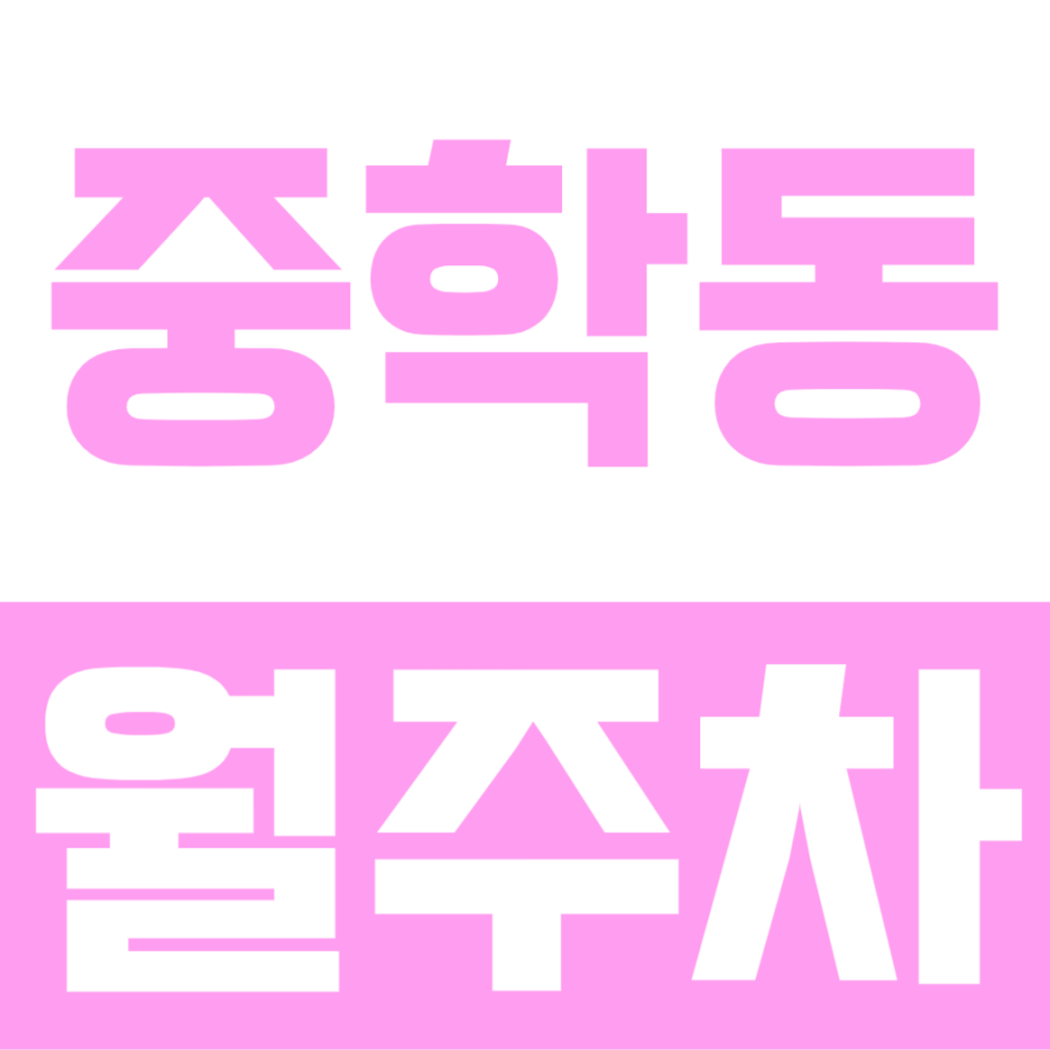 중학동 월주차ㅣ복잡한 거리속 이용 편리한 월주차 소개 대표 이미지