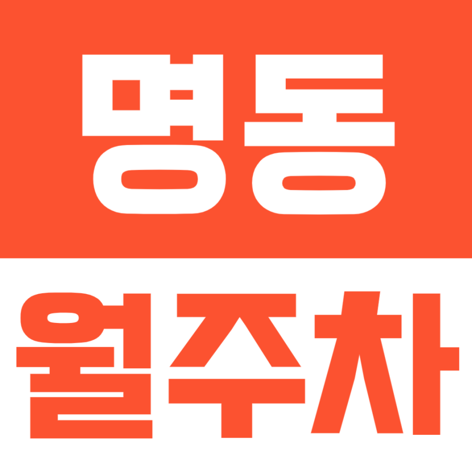 명동 월주차 명동역 인근 역세권 월주차장 대표 이미지