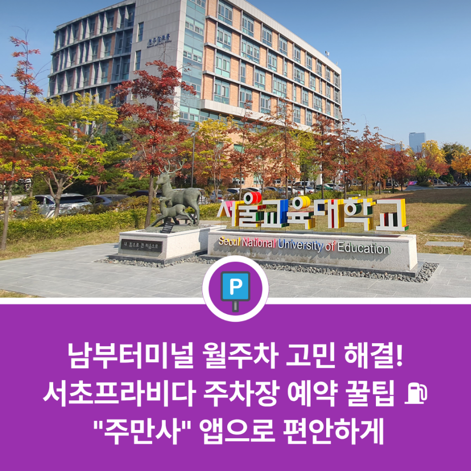 남부터미널역 근처 월주차 어디가 좋을까? 서초프라비다 민영주차장 이용 팁 및 일주차 할인 예약 안내