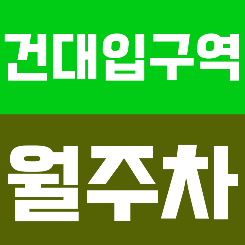 건대입구역 월주차 | 아차산로 자양동 6번출구 도보 3분 SUV 가능한 24시간 정기주차권 안내
