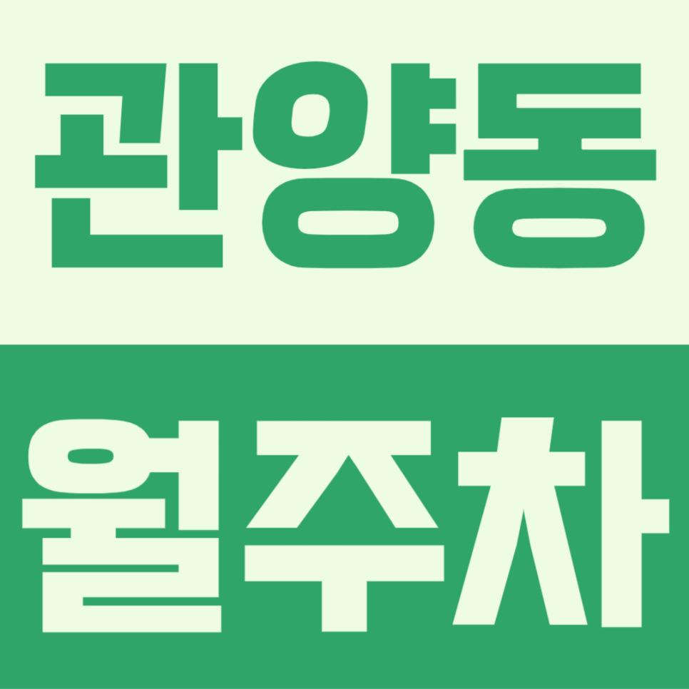 관양동 월주차ㅣ출퇴근 단축 시켜줄 편리한 주차방법 대표 이미지