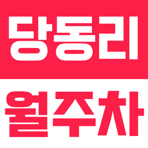 당동리 월주차ㅣ차단기 있고 빈자리 널널한 문산 24시간 365일 월주차, SUV/RV까지 단돈 2만 원! 대표 이미지