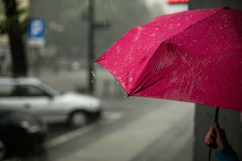 악천후에는 어떻게 운전해야 할까??🌧️