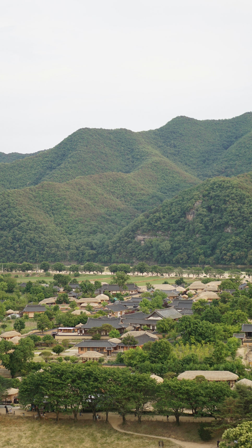 국내 이색 드라이브 코스 추천 5