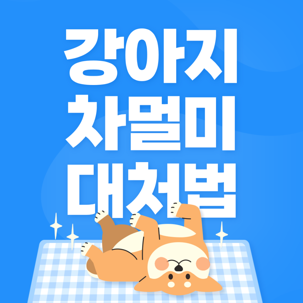 강아지 멀미 증상(예방법/대처법/개 멀미/반려동물 멀미) 대표 이미지