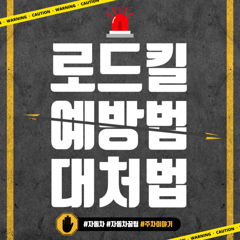 로드킬 예방법과 대처법 대표 이미지