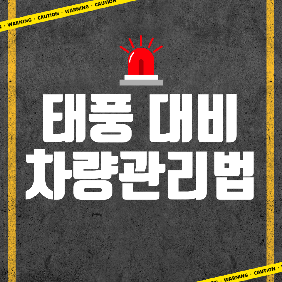 태풍 종다리 대비 차량관리법( 주차 위치) 대표 이미지