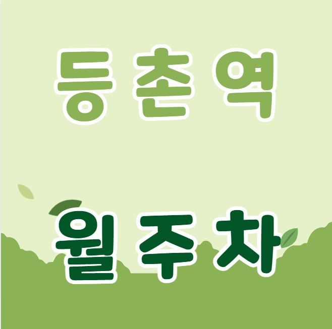 등촌역 월주차 / 등촌역 5,6번출구 도보1분 초역세권, 기계식 대표 이미지