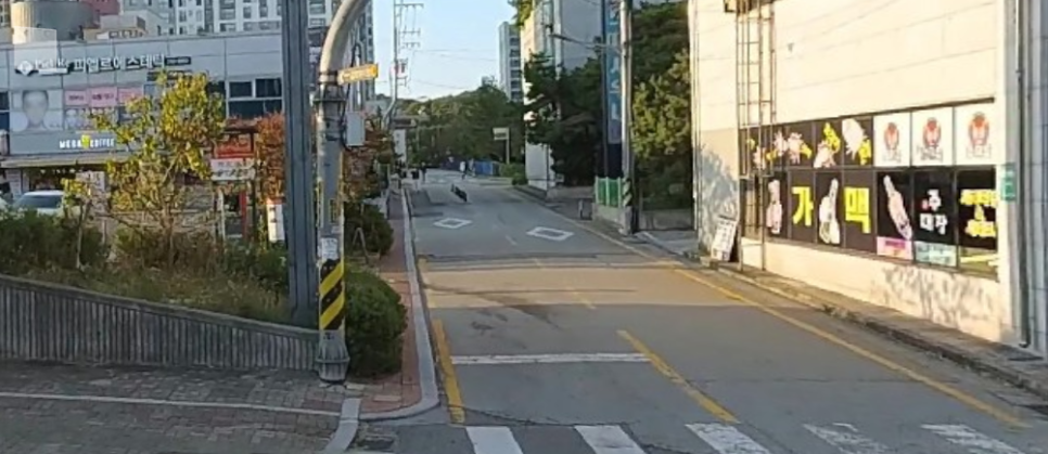 전주시 인후동 고용 노동부 종합청사 인근 시간제 주차장