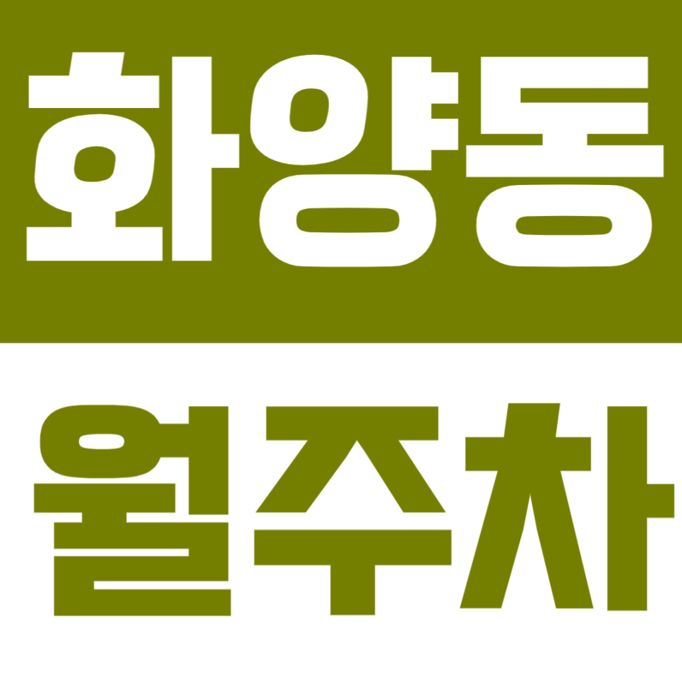 화양동 월주차 | 건대입구·어린이대공원역 도보권 정기주차 추천! 대표 이미지