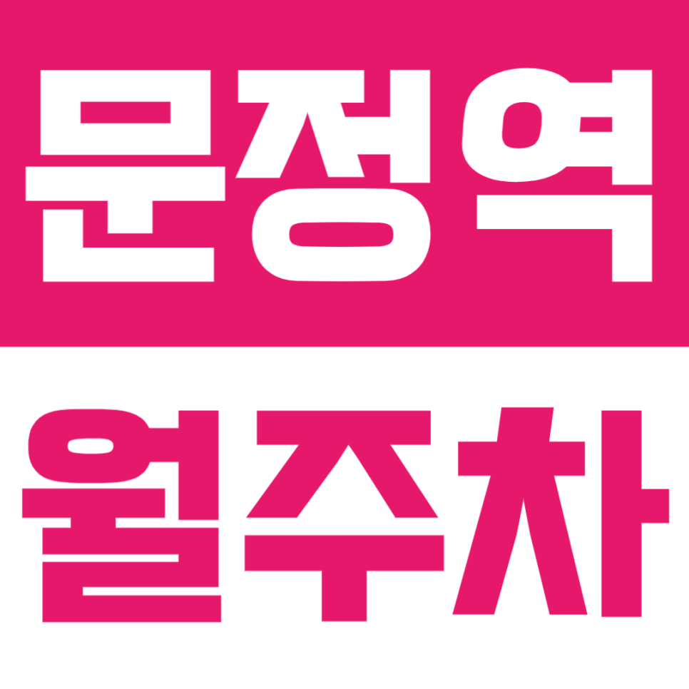 문정역 월주차 | 2번출구 바로 앞 1분, 초역세권, 기계식(승용)·24시간 이용 가능한 정기 주차장🚘 대표 이미지