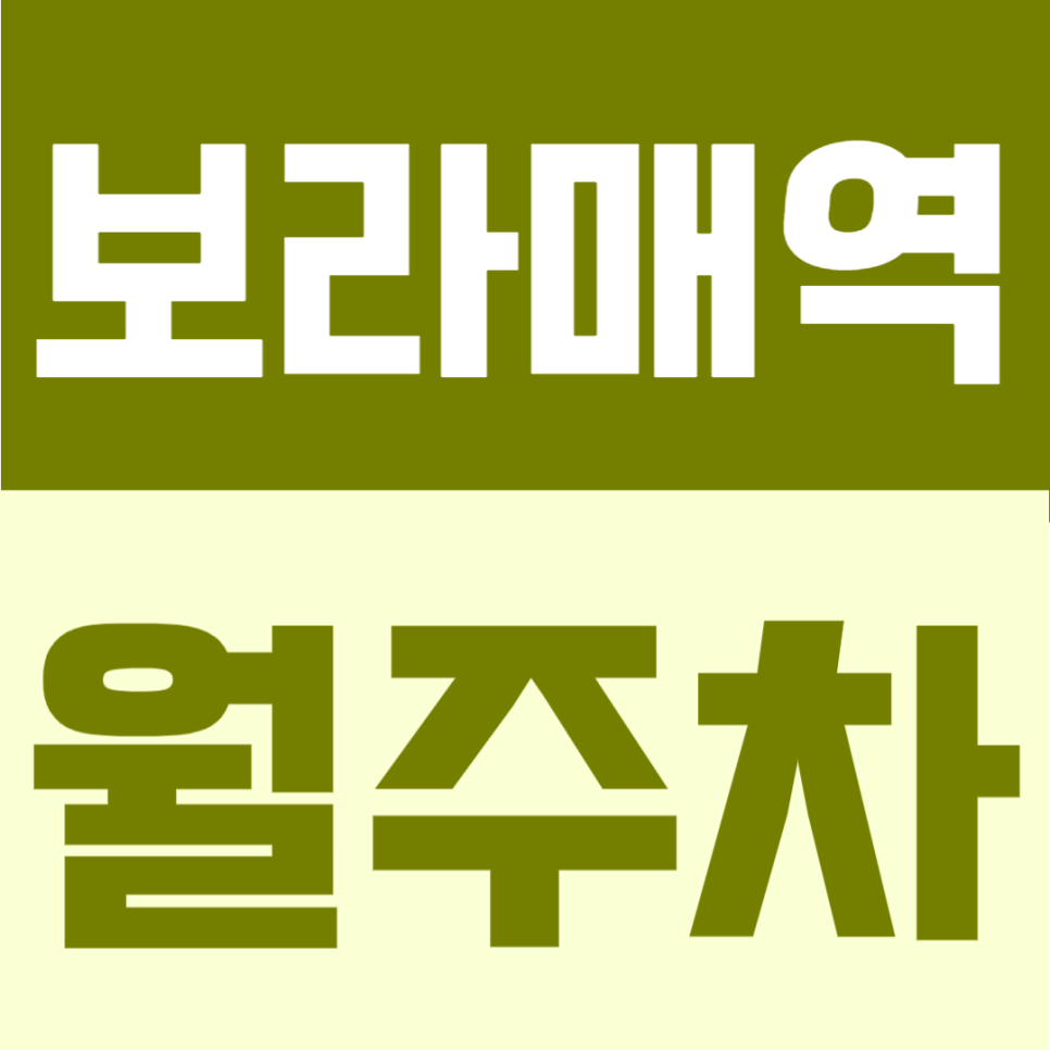 보라매역 월주차 | 도보 2분 거리 더블역세권의 연중무휴·24시간 이용 가능한 자주식 정기주차 안내 대표 이미지