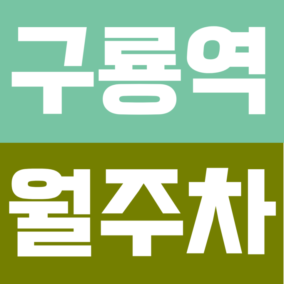 구룡역 월주차 |  구룡역 도보 8분! 퇴근 후에도 내 자리가 확실한 자주식 SUV 명당 대표 이미지