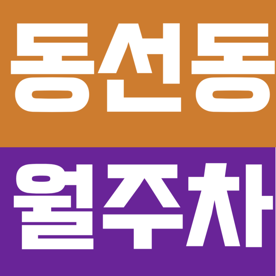동선동 월주차 | 성신여대입구역 도보 3분! SUV까지 가능한 연중무휴 24시 자주식 단일주차 대표 이미지