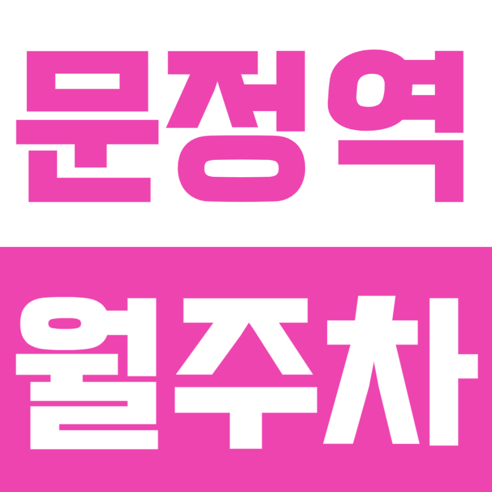 문정역 월주차 | 문정역 2번출구 10m 초역세권! 가성비 정기주차장 추천 대표 이미지