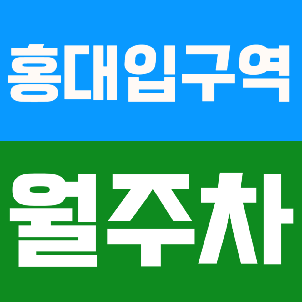 홍대입구역 월주차 | 동교동 주차장 역세권 정기권 한달 장기주차 안내 대표 이미지