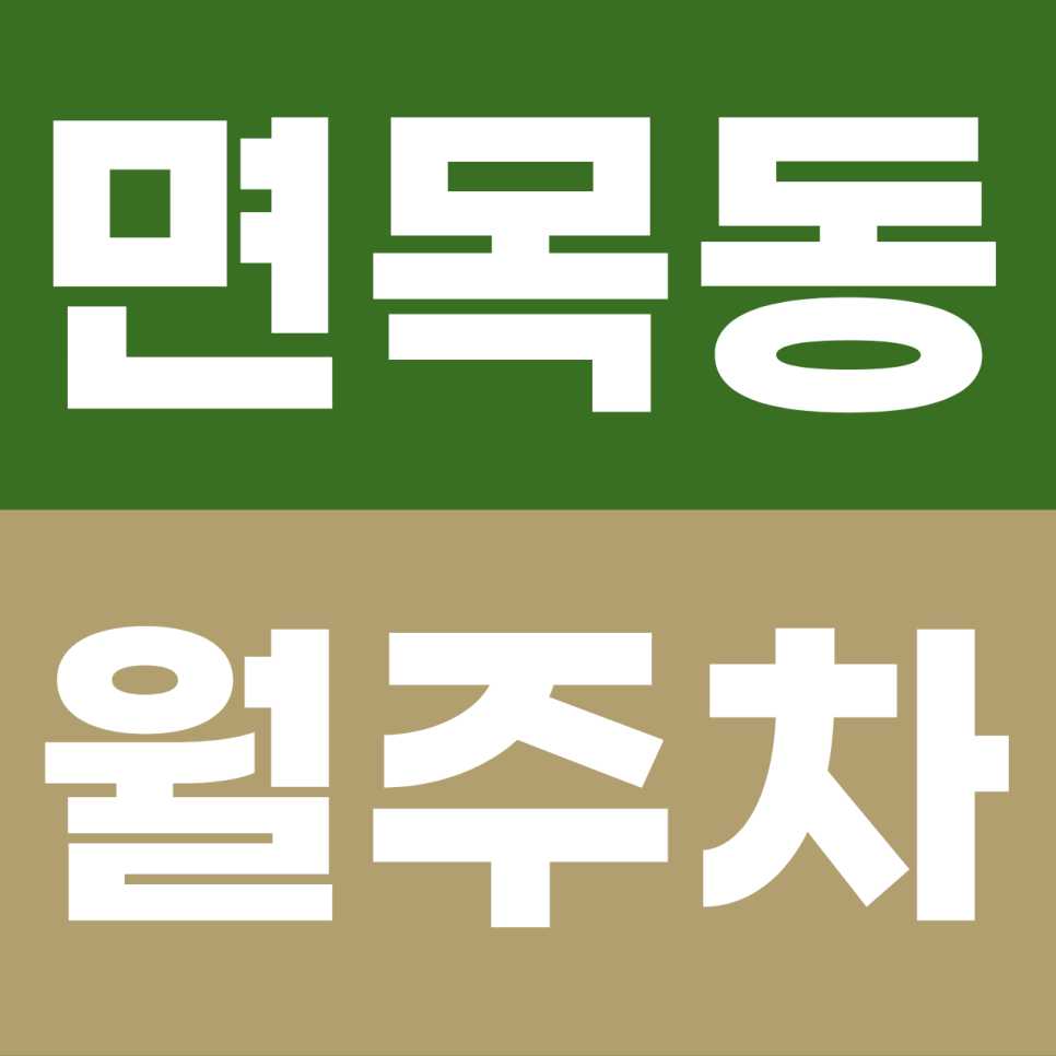 면목동 월주차 | 사가정역 1분 거리! 소중한 내 차 '문콕' 걱정 없는 기계식 주차 명당 추천 대표 이미지