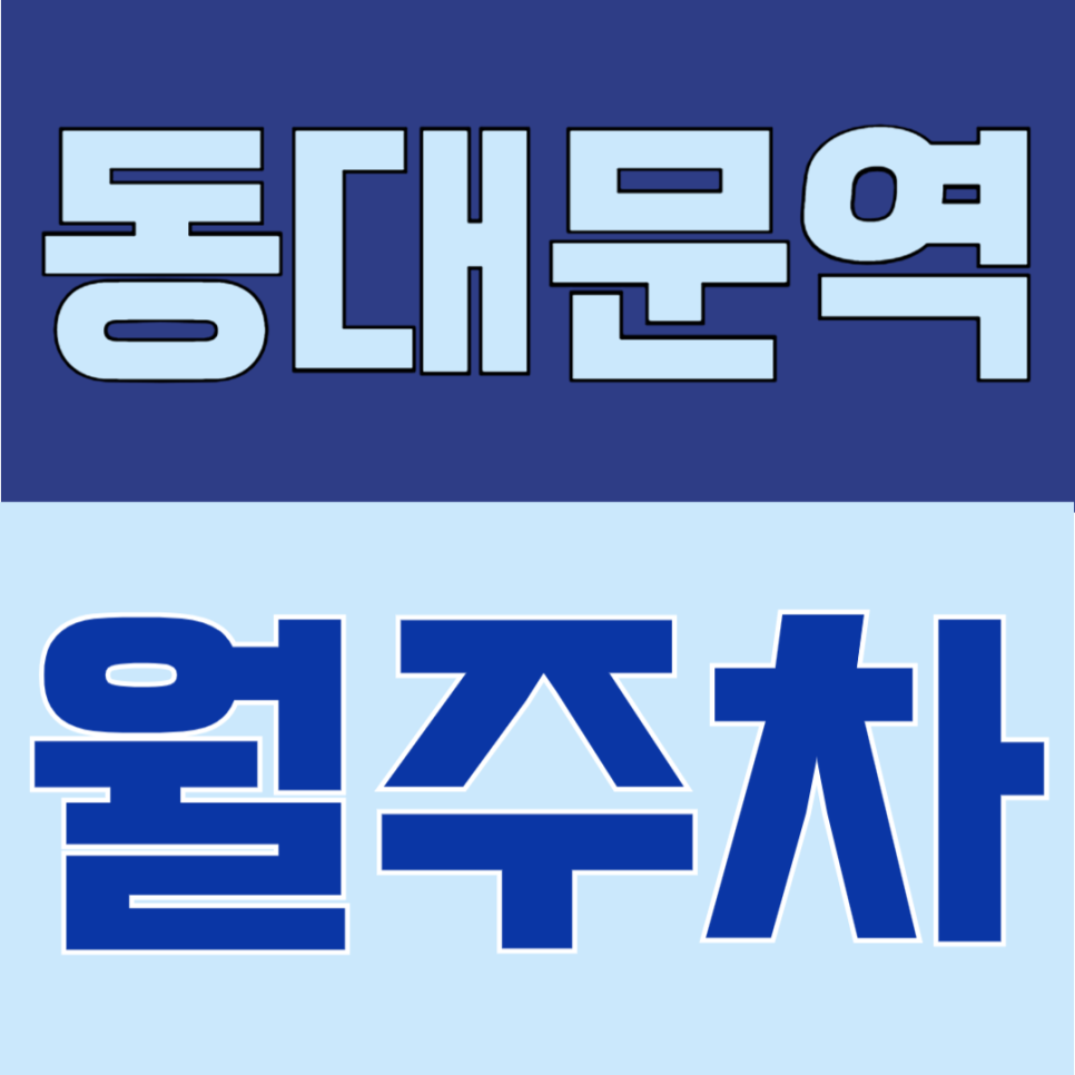 동대문역 월주차 | 24시간 대형차도 되는 종로 장기주차장, 월 16만원이면 가능해요 대표 이미지
