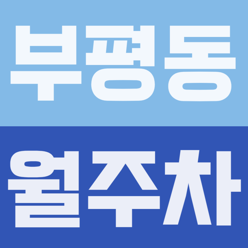 부평동 월주차 | 부평역 도보 5분 초역세권! 세단 오너를 위한 24시간 안전한 기계식 공간 대표 이미지