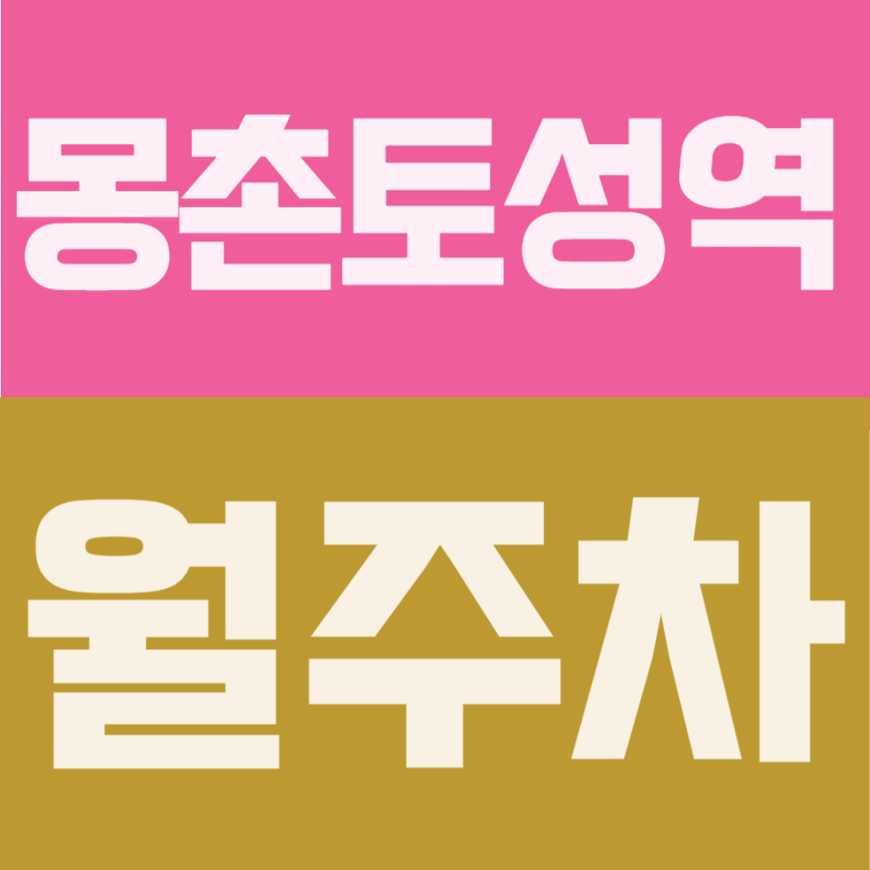 몽촌토성역 월주차 | 소·중형 세단 오너 필독! 외부 오염 걱정 없는 월 11만원대 안심 주차, 8·9호선 더블 역세권 초가성비 기계식 명당 대표 이미지