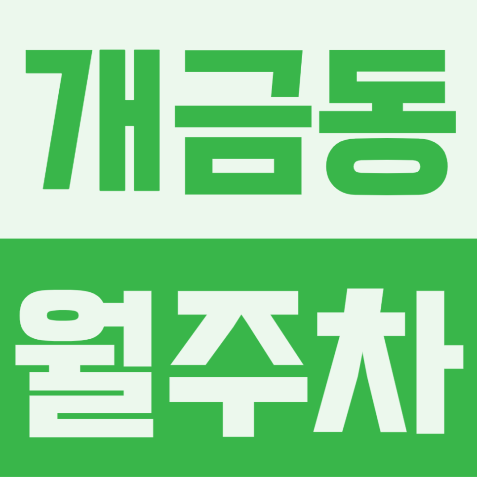 개금동 월주차 | 싼타페 끌고 빌라촌 골목 돌다가 지쳐서 그냥 여기 지상에 6만원 내고 맘 편히 댑니다 대표 이미지