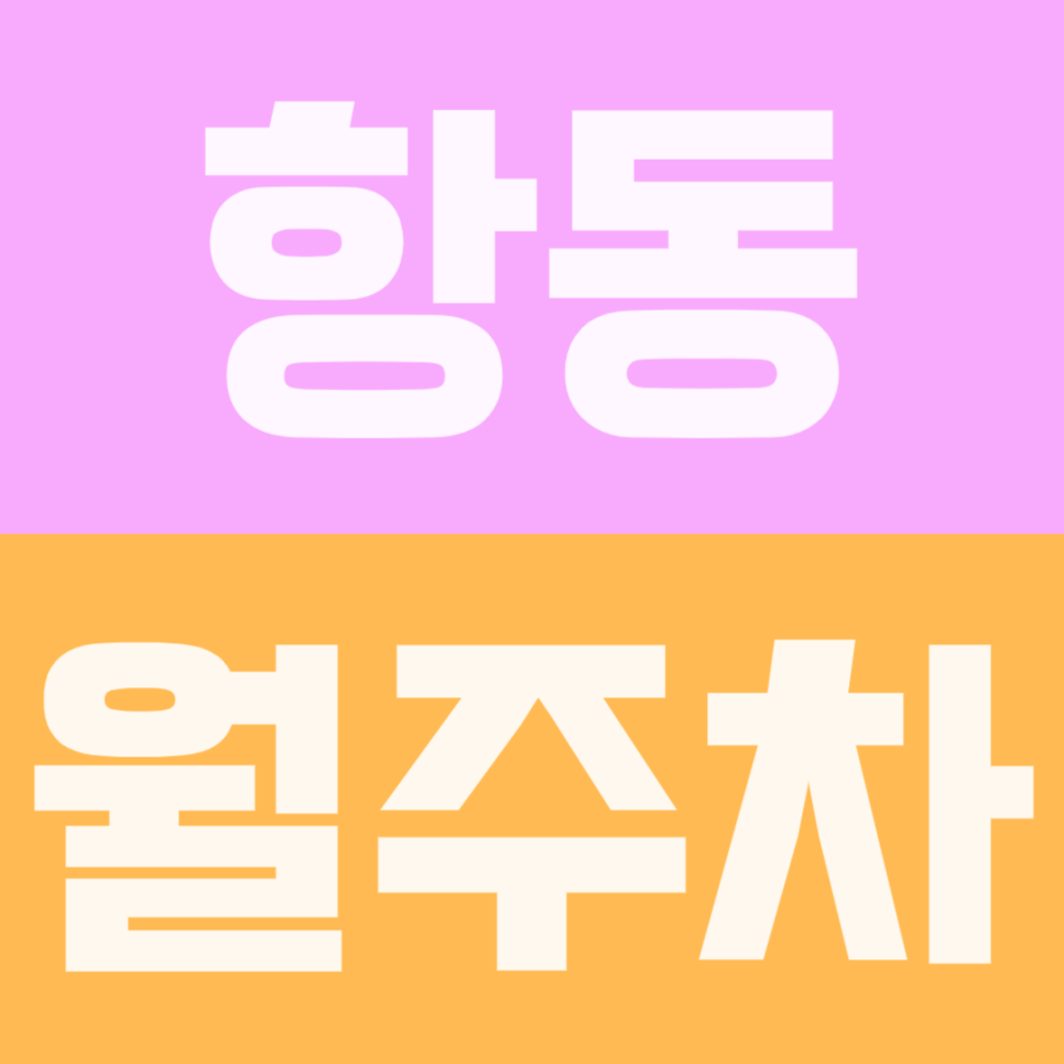 항동 월주차 | 매일 퇴근하고 주택가 뺑뺑 도는 거 지쳐서 그냥 13만원 내고 내 지정석 만들었어요 대표 이미지
