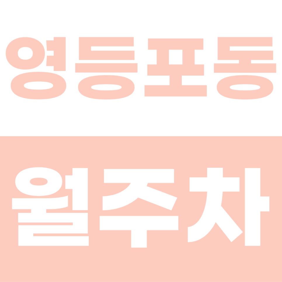 영등포동 월주차 | 타임스퀘어 옆 롯데백화점 '내 전용석'의 위엄! SUV도 당당한 단일 자주식 명당 대표 이미지