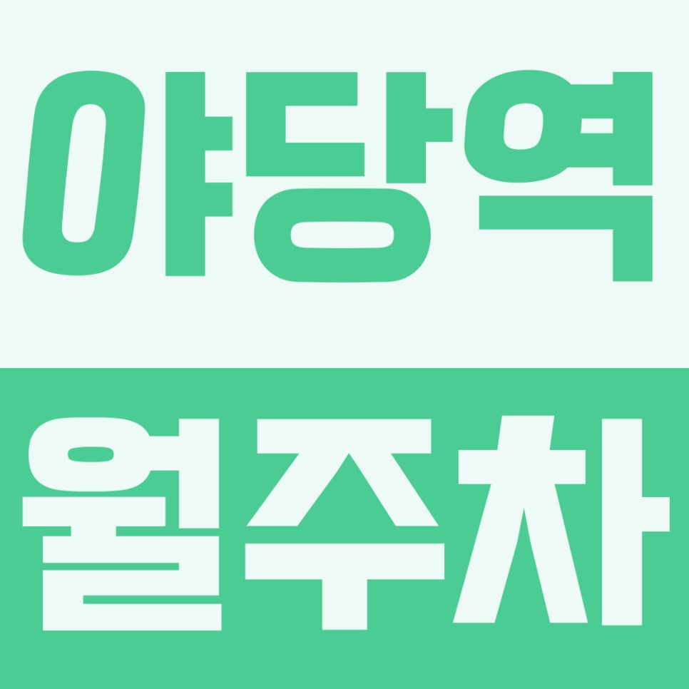 야당역 월주차 | 운정신도시 핫플 3분 컷! 9만원대 이중주차 없는 자주식 주차장 완벽 정리 대표 이미지