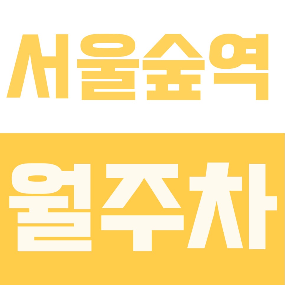 서울숲역 월주차 | 성수동, 서울숲역 2번 출구 도보 3분, 월 20만원 SUV 24시간 자주식 주차장 완벽 리뷰 대표 이미지