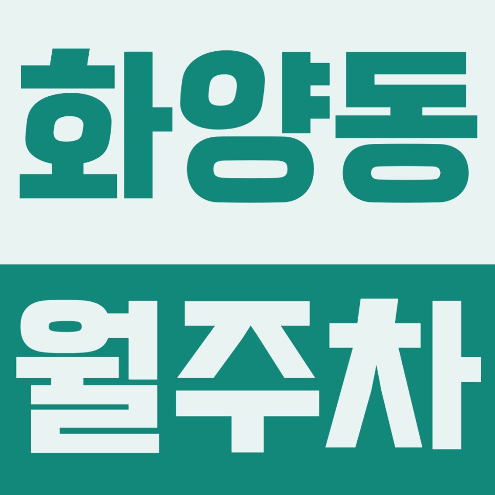 화양동 월주차 | 어린이대공원역 4분! 원룸촌 주차난 끝내는 12만 원대 기계식 주차장 대표 이미지