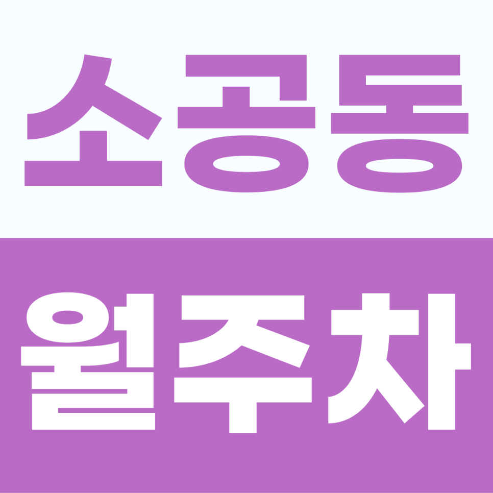 소공동 주차장 | 서울 중심가 무교동에서 주차 스트레스를 지워주는 소공동 월정기권 전용 지정석 안내 대표 이미지