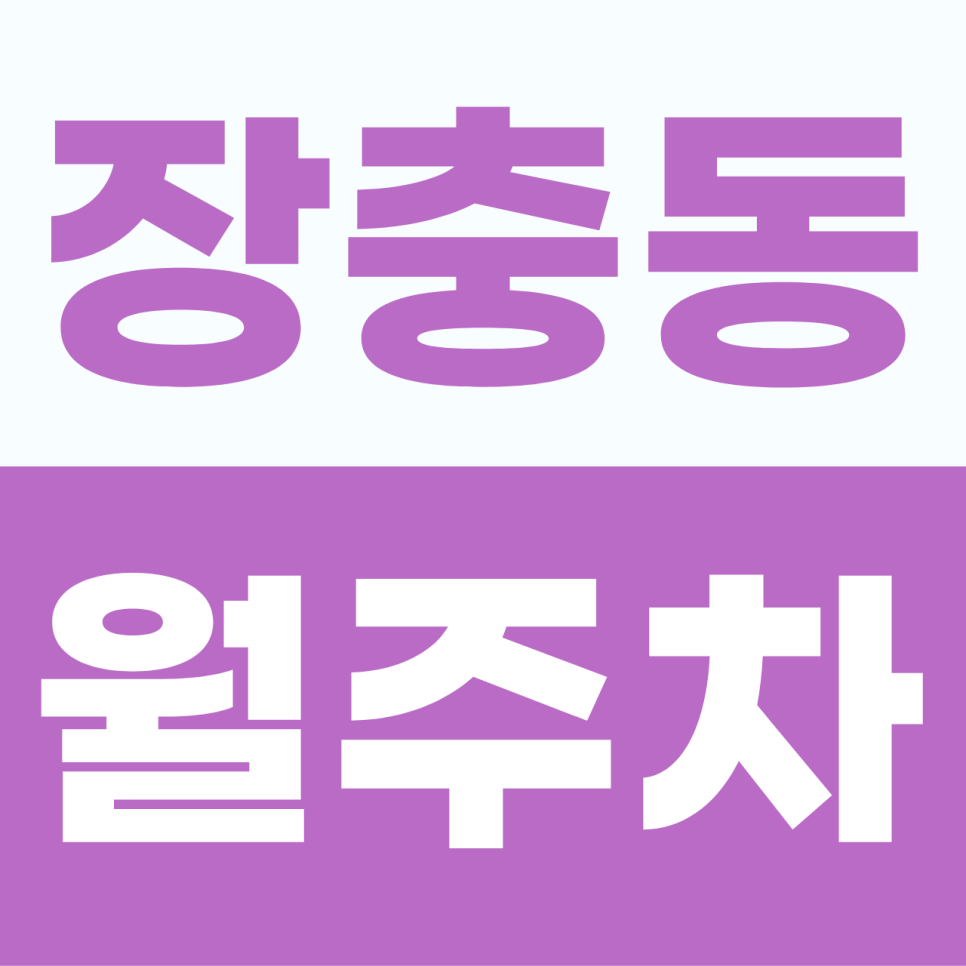[2026] 장충동 월주차 추천 | 동대입구역 인근 SUV 가능한 쾌적한 자주식 명당 (25246번) 대표 이미지
