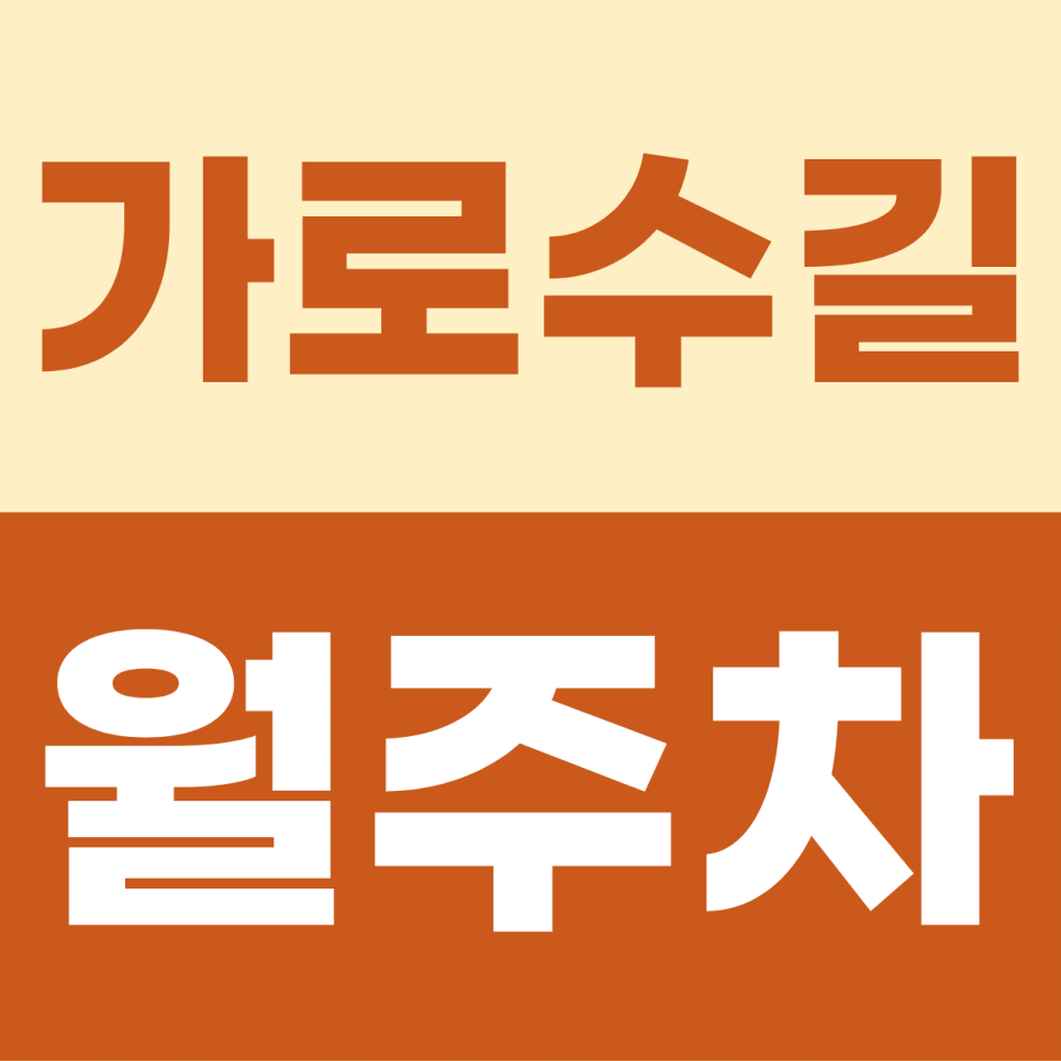[2026] 가로수길 월주차: 주말 주차 포함! 신사동 핫플 중심가 기계식 가성비 명당 (31617번) 대표 이미지