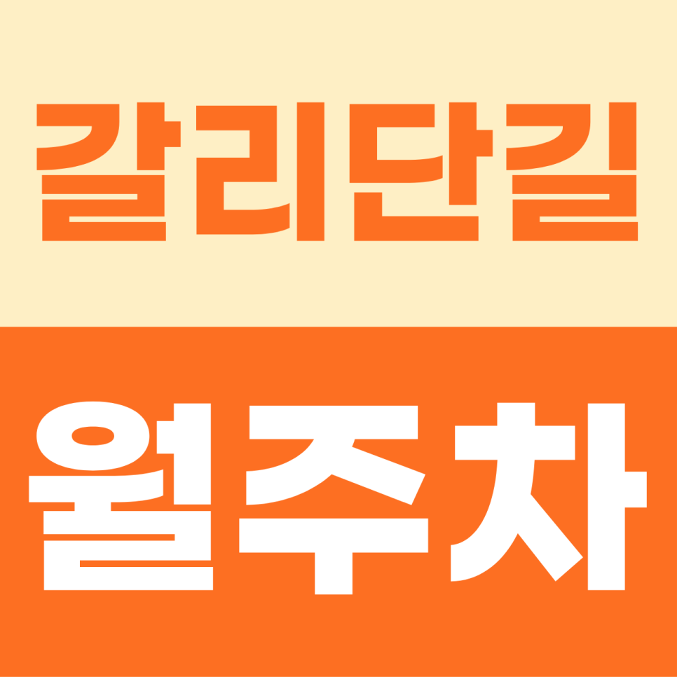 [2026] 갈리단길 월주차: 월 12만원! 이중 주차 스트레스 없는 100% 자주식 단일 명당 (20099번) 대표 이미지