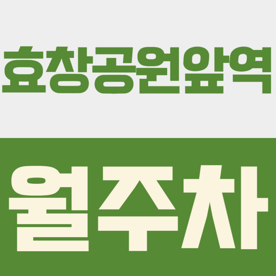 효창공원앞역 월주차ㅣ경의선숲길·용문시장 핫플 속 '나만의 24시간 지정석 주차장' 발견! 대표 이미지