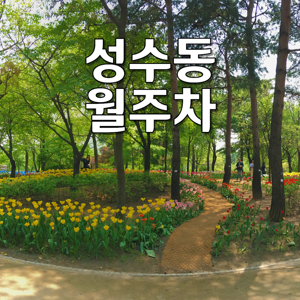 성수동 월주차ㅣ서울숲 메가박스 100% 자주식 SUV 가능 24시 월정기 주차장 대표 이미지
