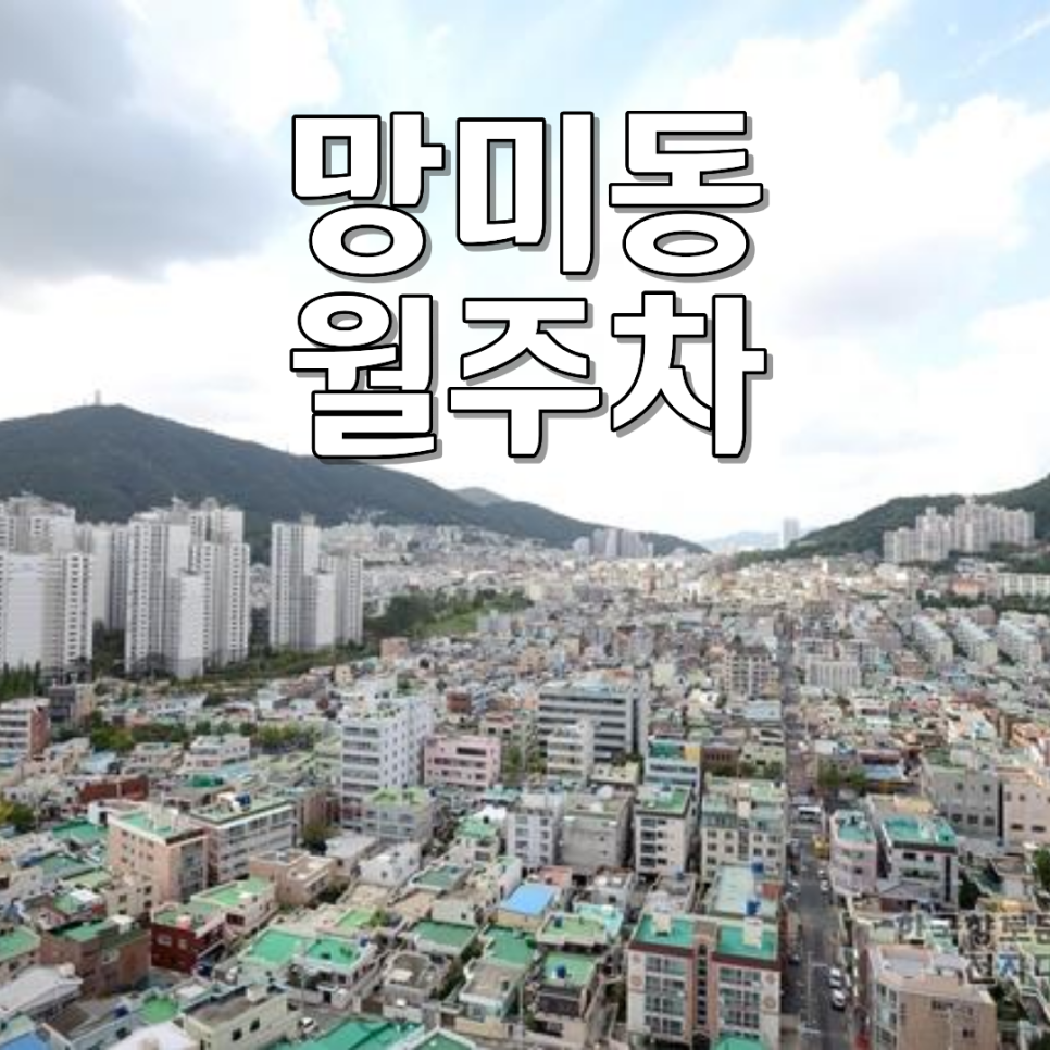 망미동 월주차 | 부산 배산역 근처 자주식 월정기주차자리 안내 대표 이미지