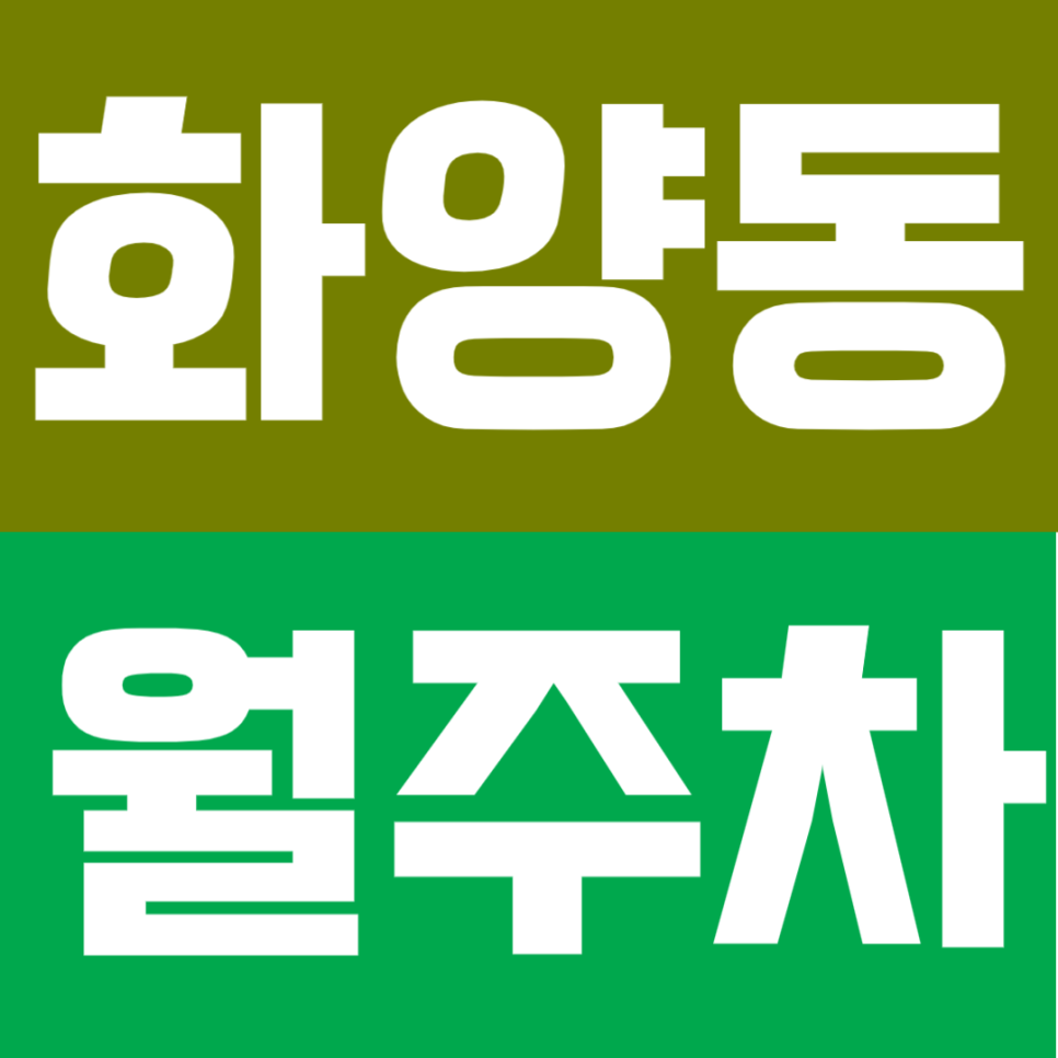 화양동 월주차 | 건대입구역 도보 1분 초역세권 주차장 추천! 정기주차로 주차문제 해결하세요 대표 이미지