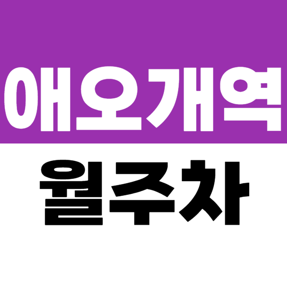 애오개역 월주차 | 공덕 마포경찰서 인근 경차전용 초저렴 주차장 추천 대표 이미지