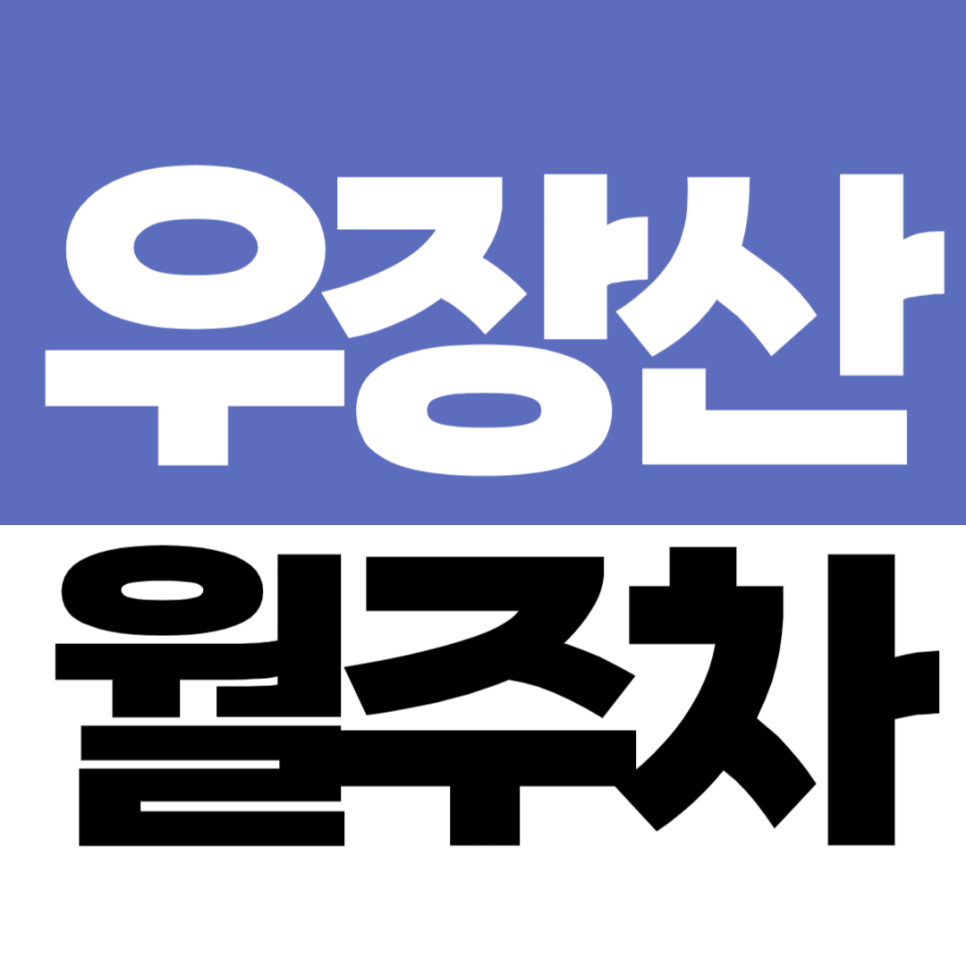 우장산역 월주차 2번 출구 도보권 자주식 월 정기주차 가능한 곳 추천 대표 이미지