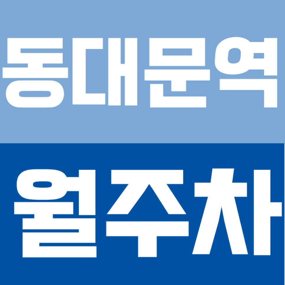 동대문역 월주차 | 역 도보 3분 거리 초역세권 24시간 가능 가격 합리적인 정기 주차 대표 이미지