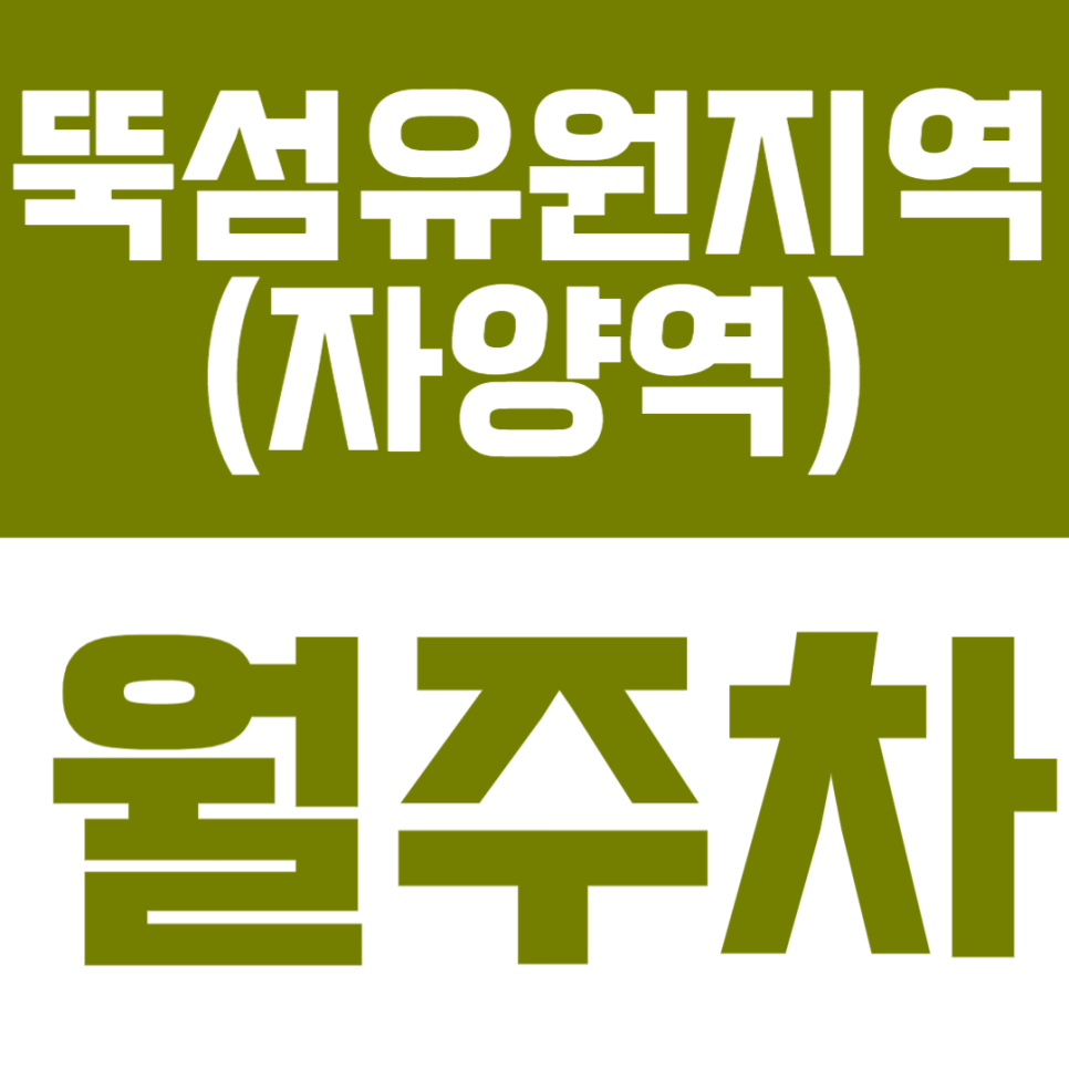 뚝섬유원지역 자양역 월주차 | 자양역 도보 9분 거리 역세권 SUV까지 가능한 정기 주차 대표 이미지