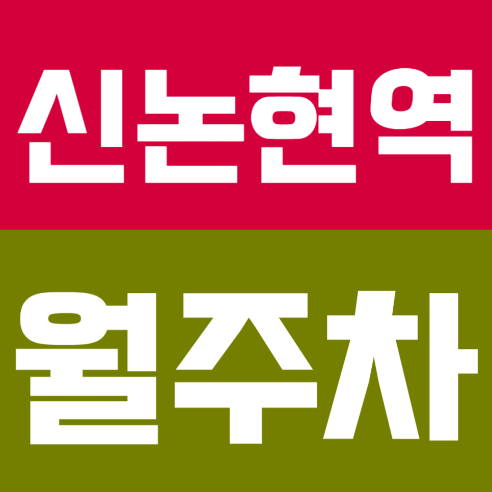신논현역 월주차 | 3번출구 1분! 9호선·신분당선 더블역세권 24시간 기계식 정기 주차장🚘 대표 이미지