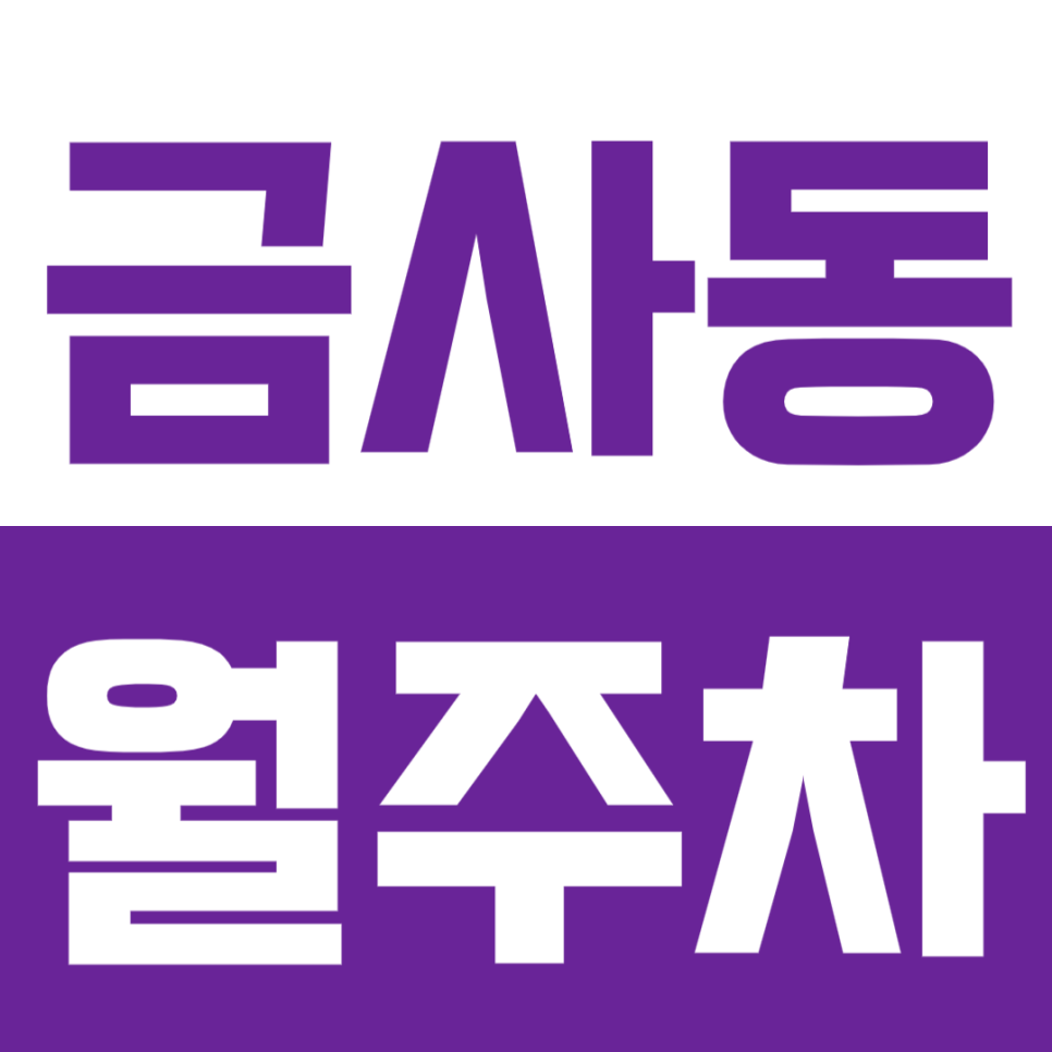 금사동 월주차 | 기계식 NO! 금사동 평면 주차장 월주차 대표 이미지