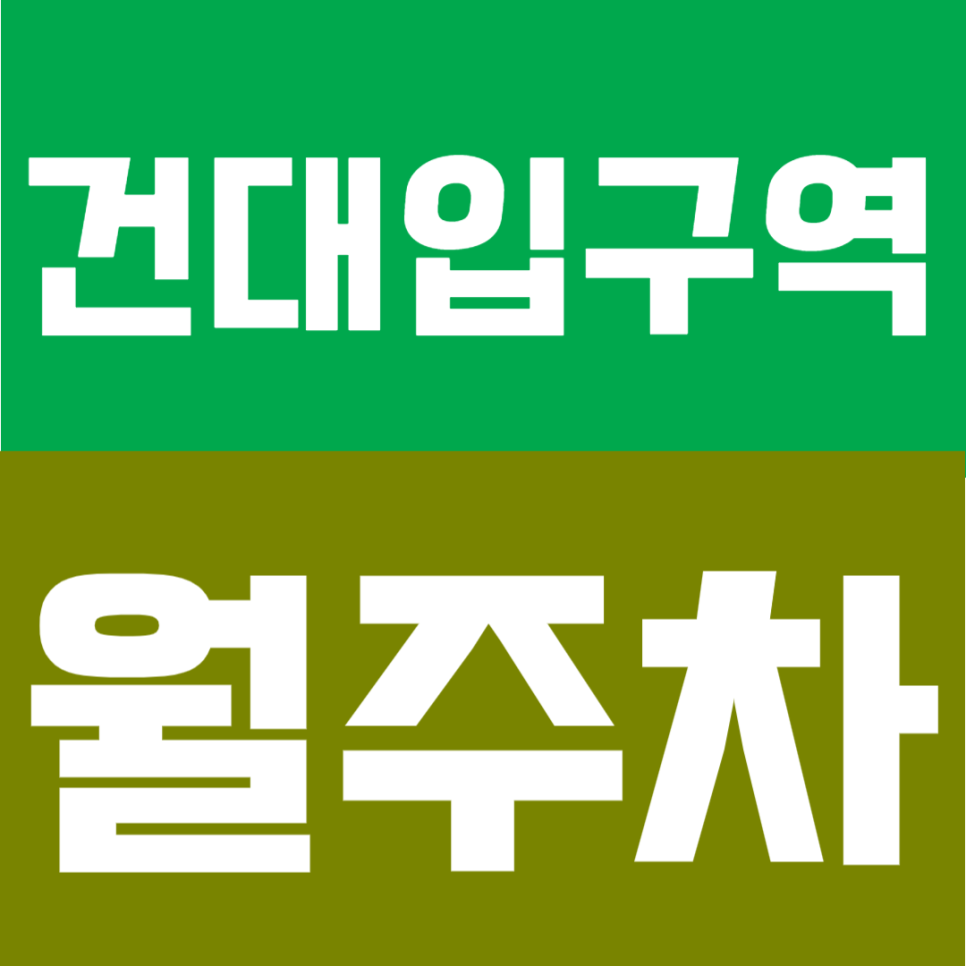 건대입구역 월주차 | 출퇴근 주차 고민 끝! 6번 출구 도보 3분, 24시간 이용가능한 자주식 단일주차장 안내 대표 이미지