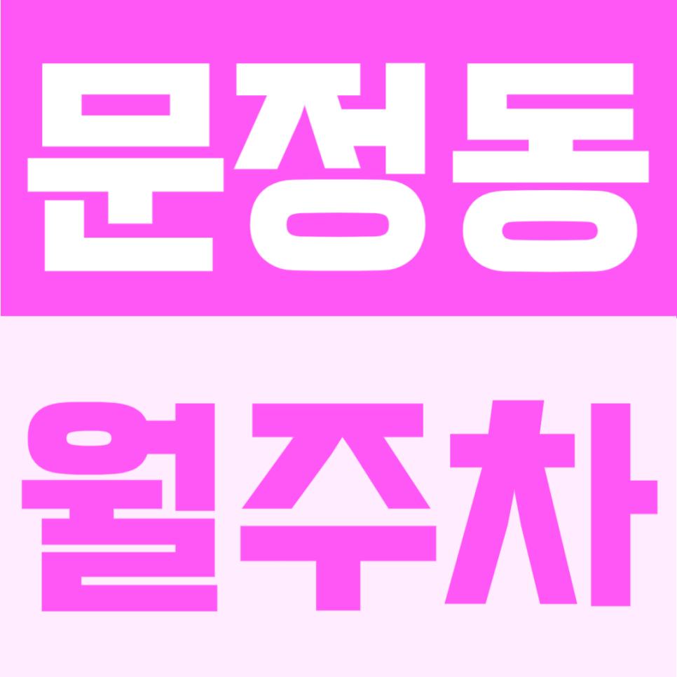 문정동 월주차 | 문정역 인근에서 24시간 이용 가능한 자주식 단일주차 정기주차 대표 이미지