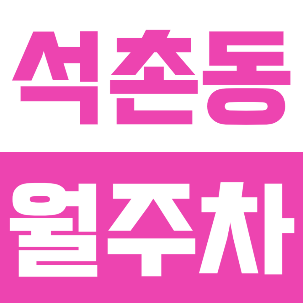 석촌동 월주차 | 석촌고분 주차장 24시간 지정석 한달 장기주차 안내 대표 이미지