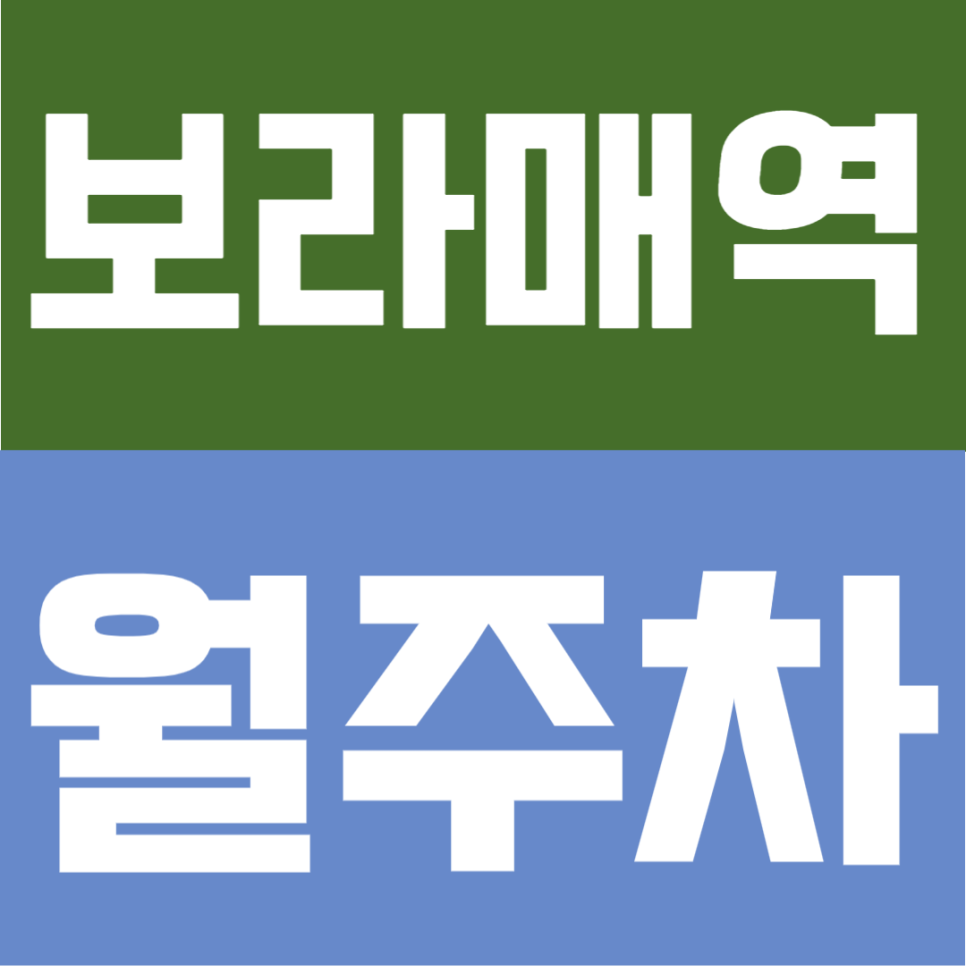 보라매역 월주차 | 보라매역 도보 4분, 자주식 단일주차 지정석 24시간 정기주차장 대표 이미지
