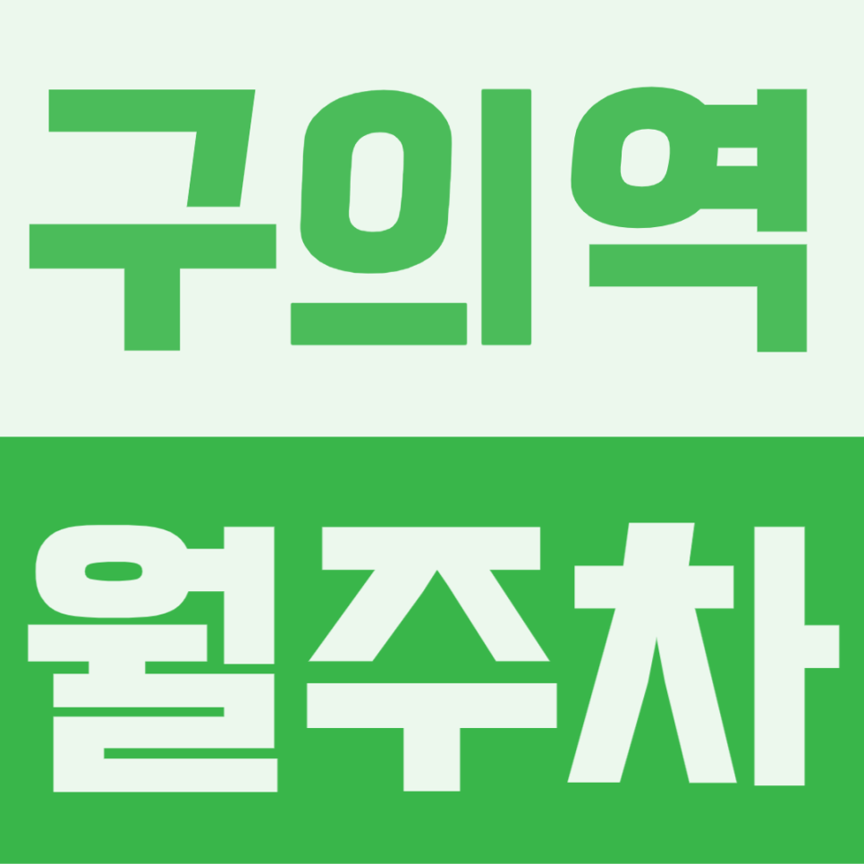 구의역 월주차 | 문콕·눈비 걱정 없는 기계식 전용석, 월 11만원으로 소중한 내 차 안심 보관 대표 이미지