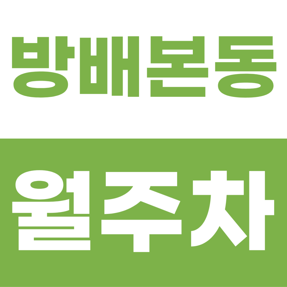 방배본동 월주차 | 퇴근길 주차 전쟁 종결! 나만의 고정석, 야간 전용 자주식 명당 대표 이미지